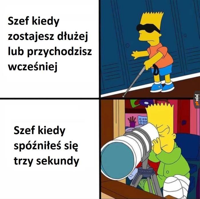 Wszystko widziałem, panie Areczku!