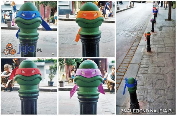 Żółwie Ninja na mieście