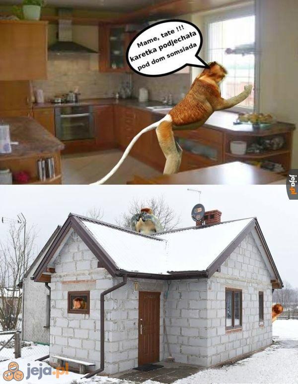 Oby zdechł, menda jedna