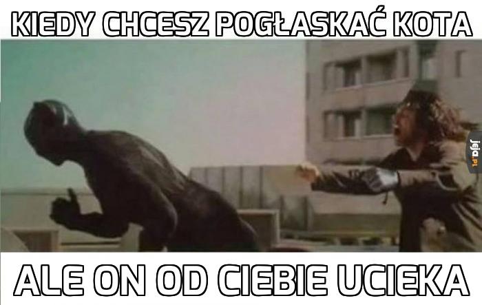 Kiedy chcesz pogłaskać kota