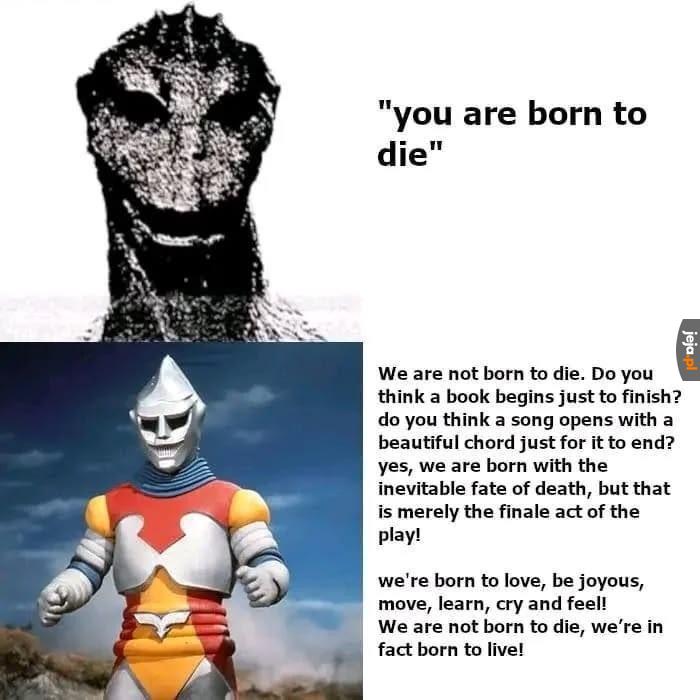 życie to nowela