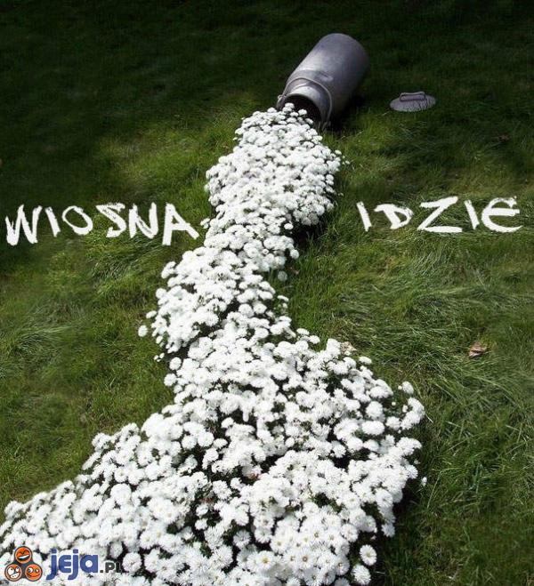 Słońce świeci - Wiosna idzie