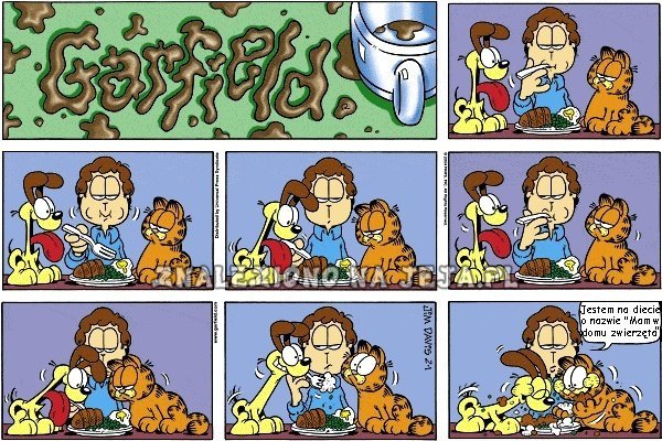 Garfield: Dieta