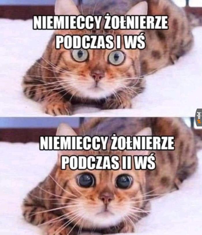 Pancerna Czekolada