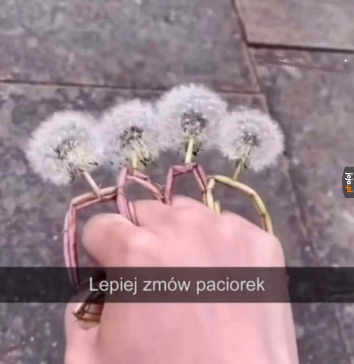 Poddaj się