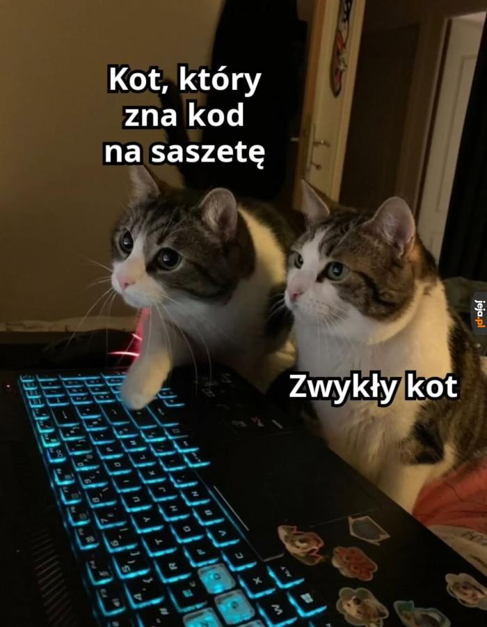 Cenna wiedza