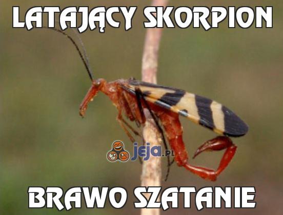 Latający skorpion
