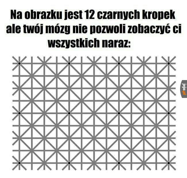 To nie gif, to złudzenie