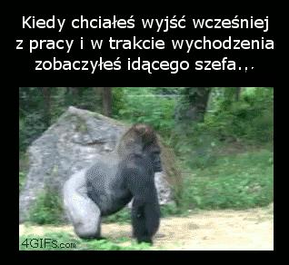 Kiedy chciałes wyjść wcześniej z pracy