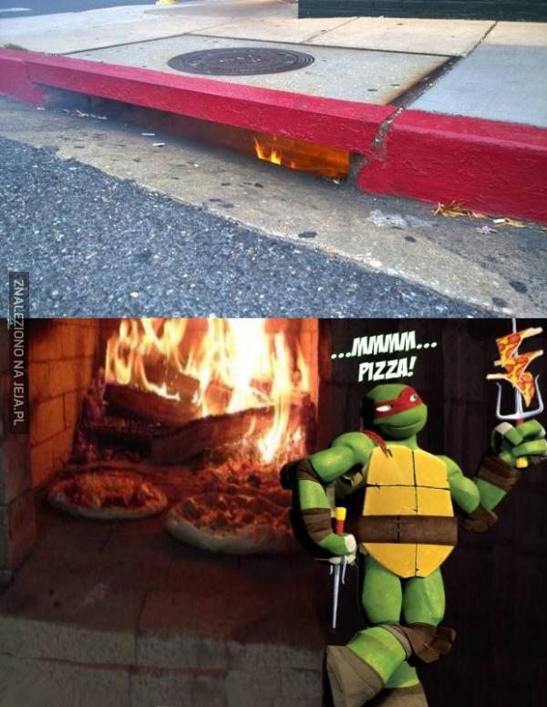 Żółwie, ogarnijcie się, bo przypalicie chodnik
