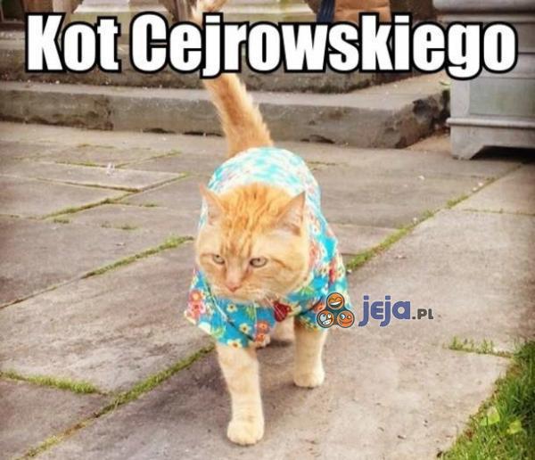 Kot Cejrowskiego