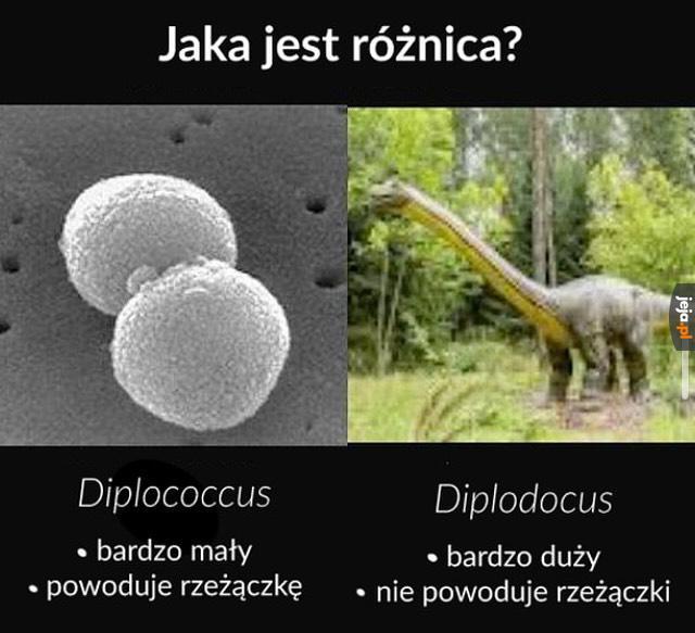 Nie to samo