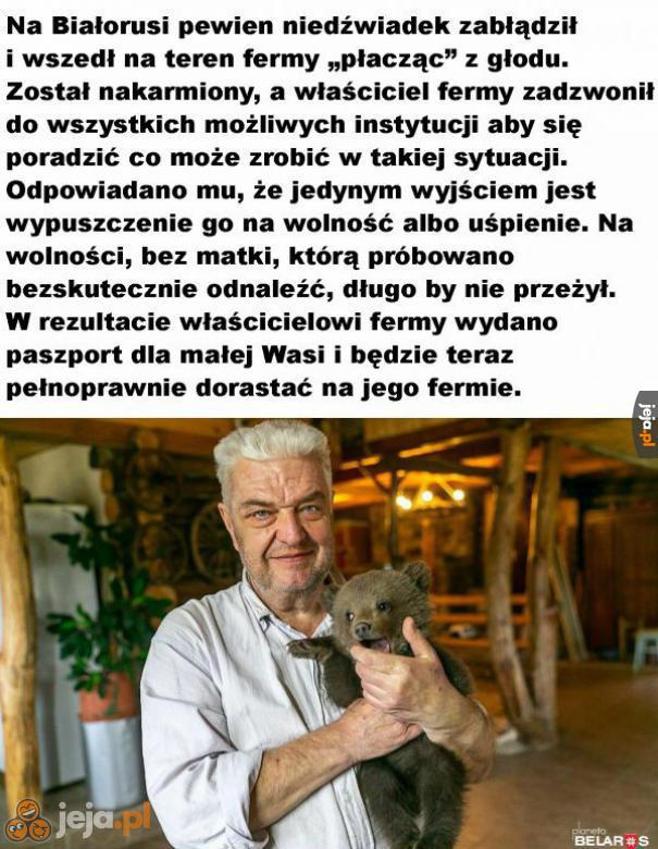 To zdecydowanie dobra wiadomość