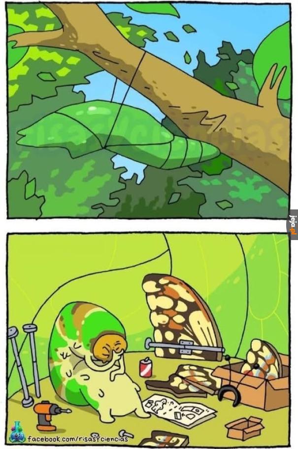 To nie jest wcale takie łatwe