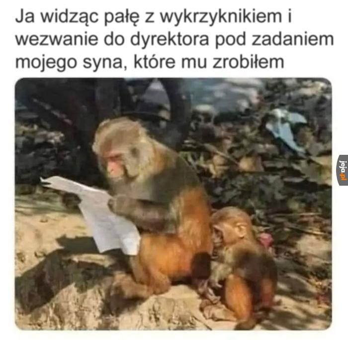 No przecież dobrze