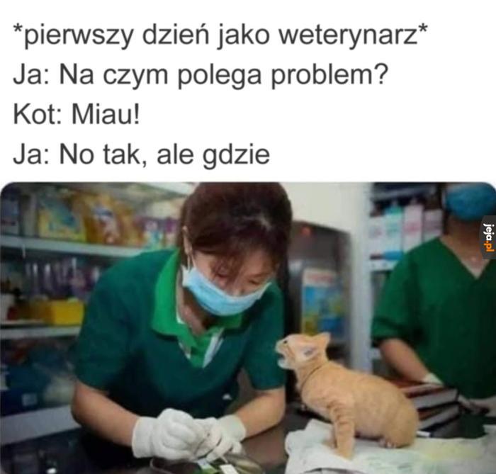 Możesz sprecyzować?