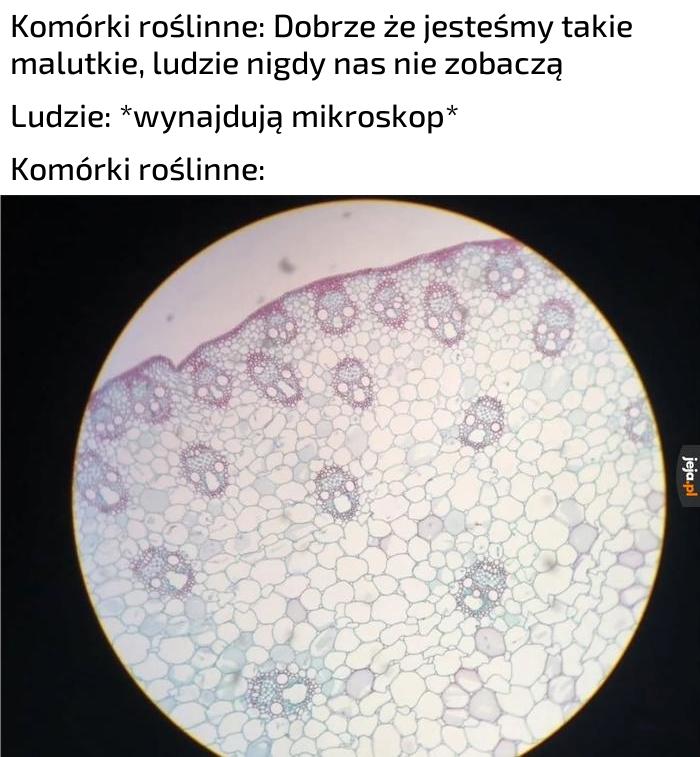 Tego nie przewidziały