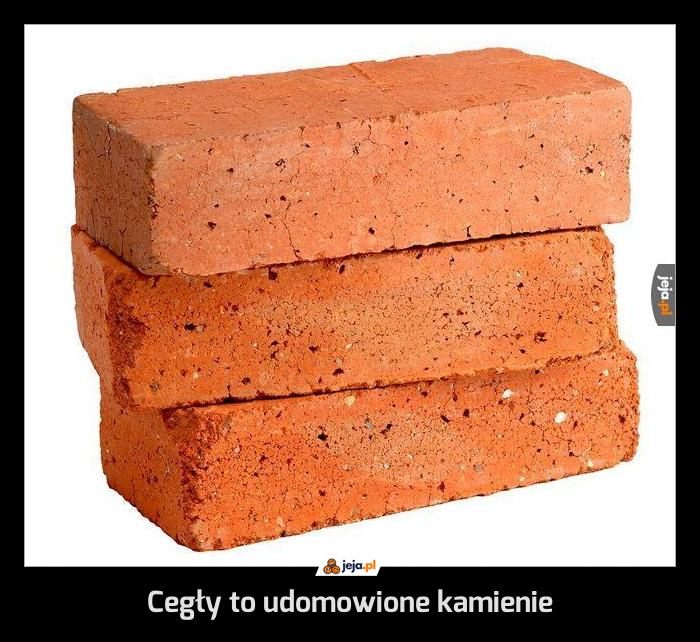 Cegły to udomowione kamienie