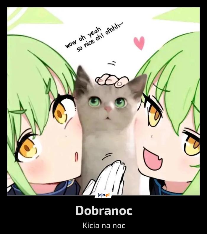 Dobranoc