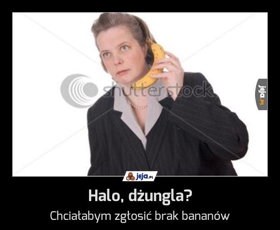 Halo, dżungla?