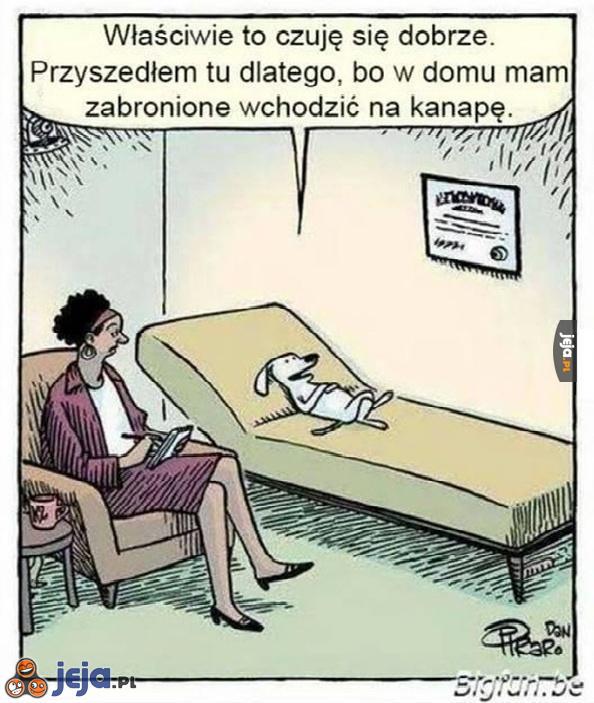 Psia wizyta u psychiatry