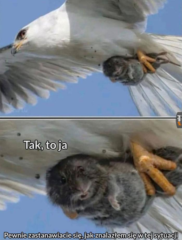 Zacznijmy od początku