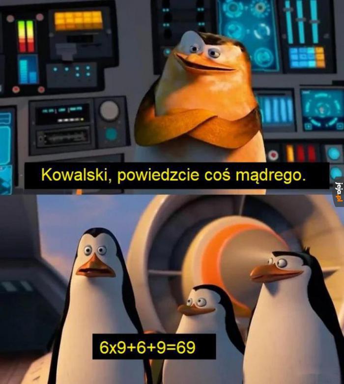 Dużego mózgu czas