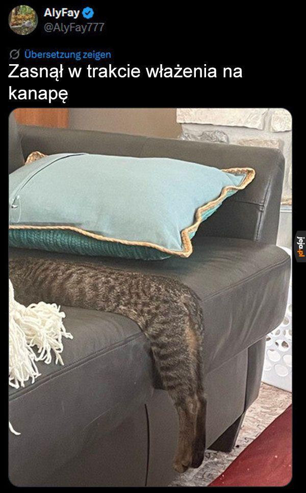 No zmęczył się
