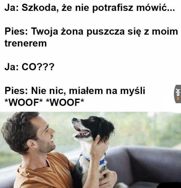 Psie przejęzyczenie