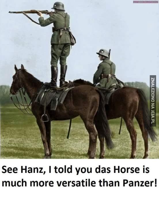 Widzisz, Hans?