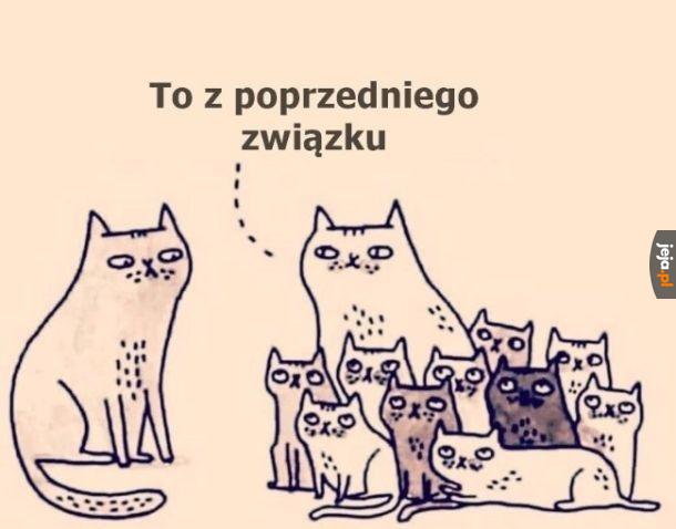 Sporo tego