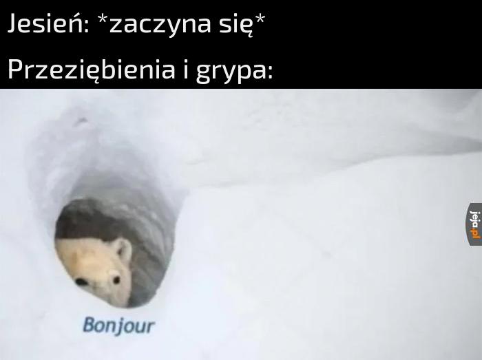 Sezon ma katar uważam za otwarty