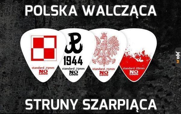 Polska walcząca
