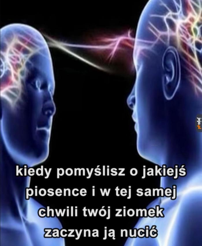 Łączy nas coś więcej niż ta sama ławka na polskim