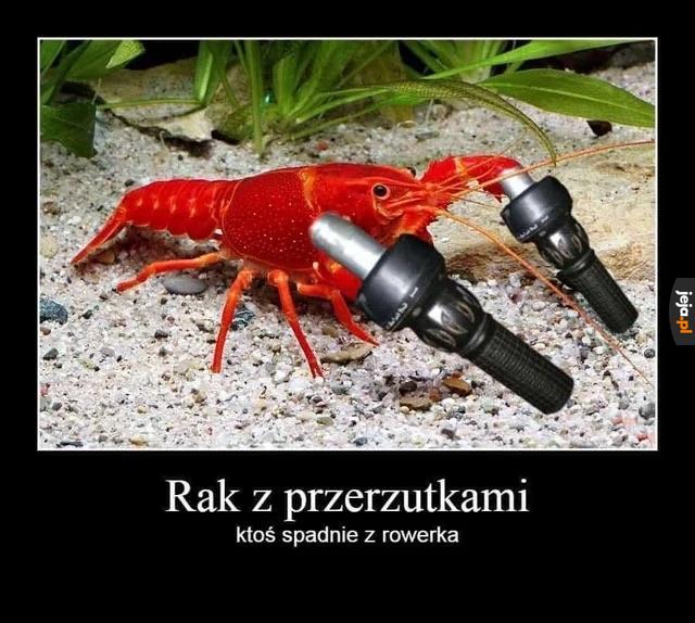 Cza cza
