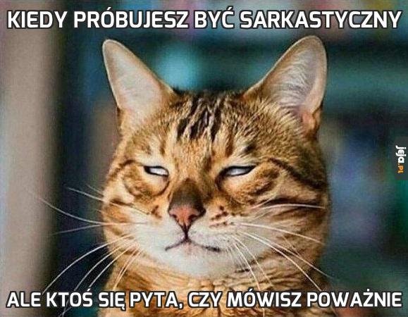 Kiedy próbujesz być sarkastyczny