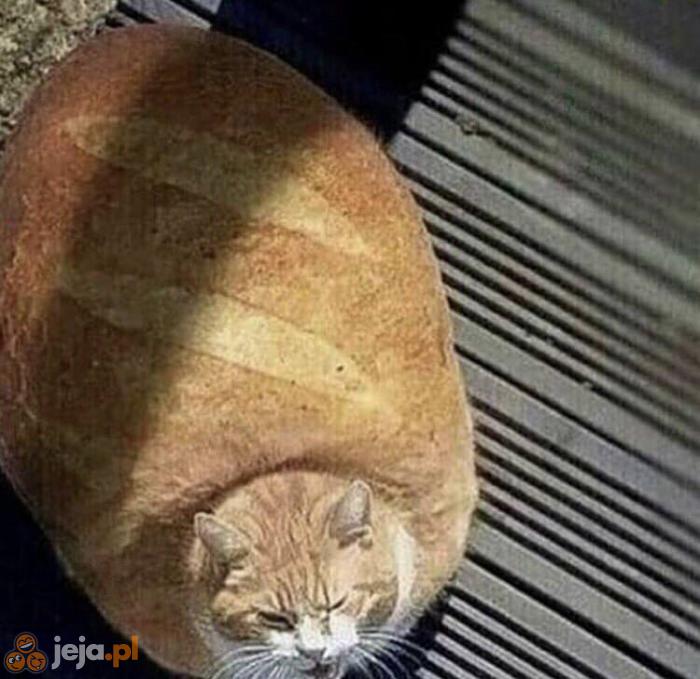 Żywy chleb
