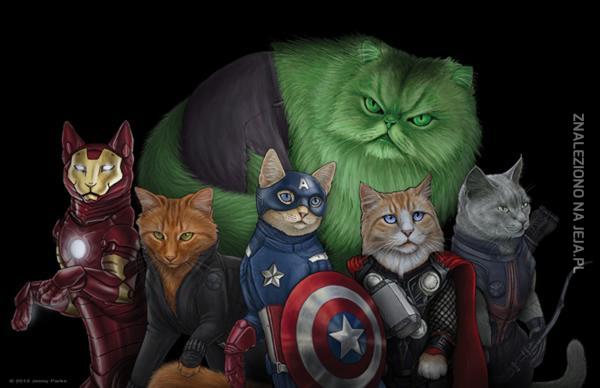 Catvengers do boju!