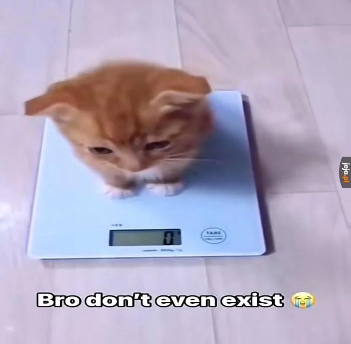 Brat nie istnieje 😭😭