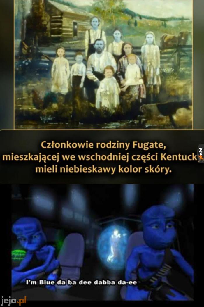 Jestem niebieski albo di, albo daj