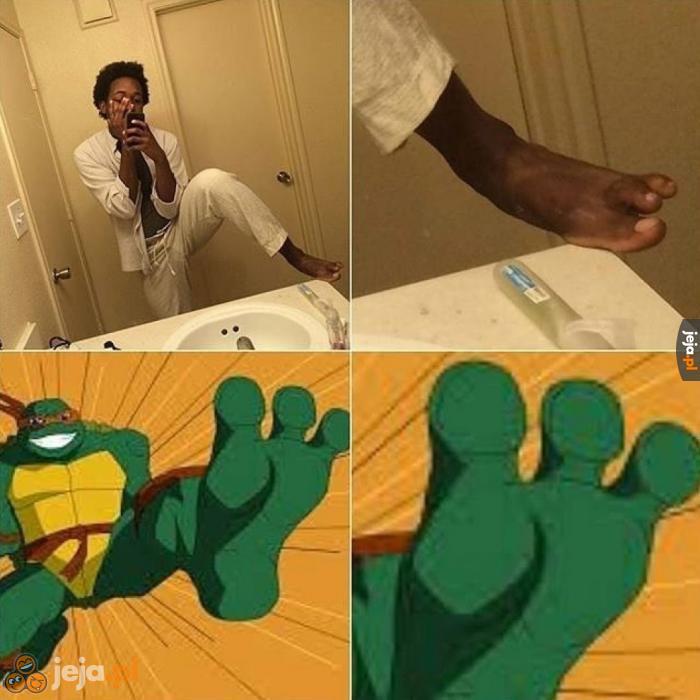 Żółw Ninja istnieje!