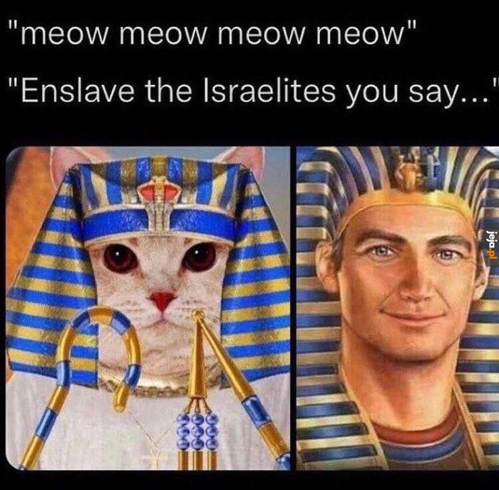 Egipskie śmieszki