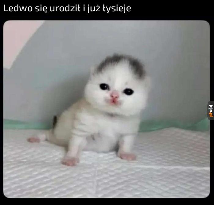 Tego to mi żal