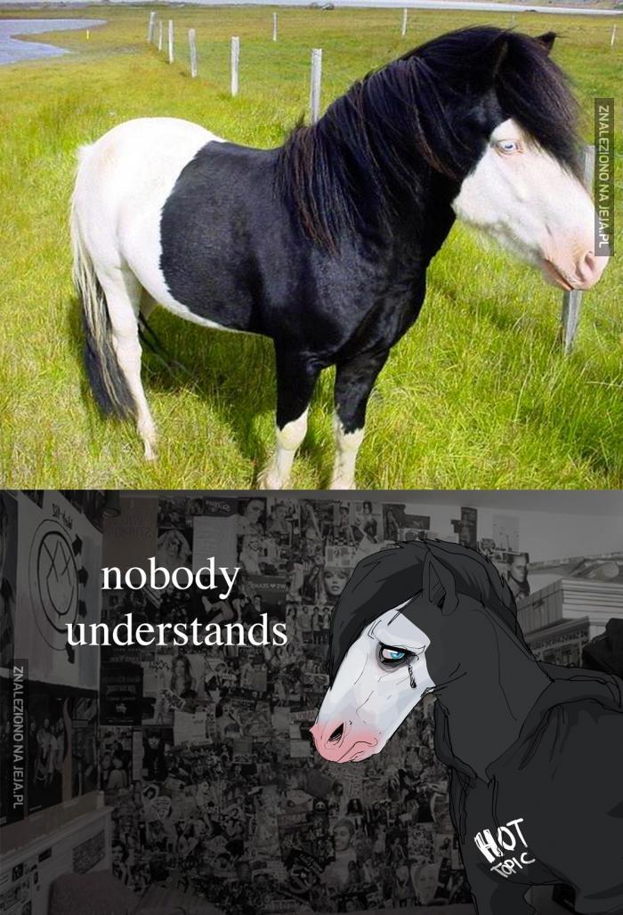 Emo-koń