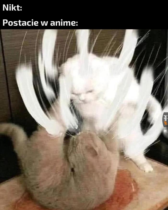 Meowda meowda meowda!