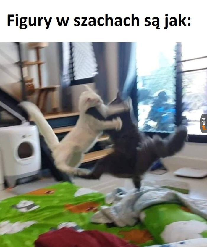 Intensywne starcia