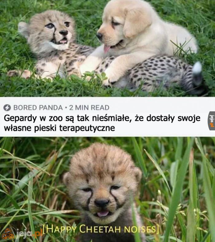 Słodkie
