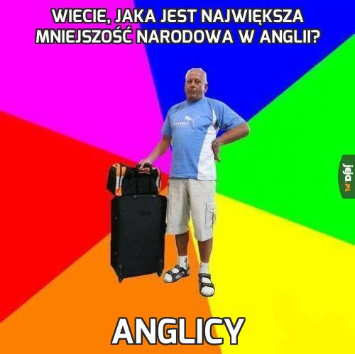 Wiecie, jaka jest największa mniejszość narodowa w Anglii?