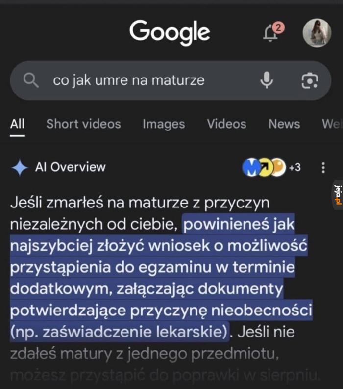 Na mym pogrzebie będą frytki