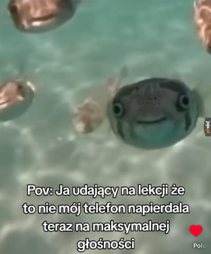Rel